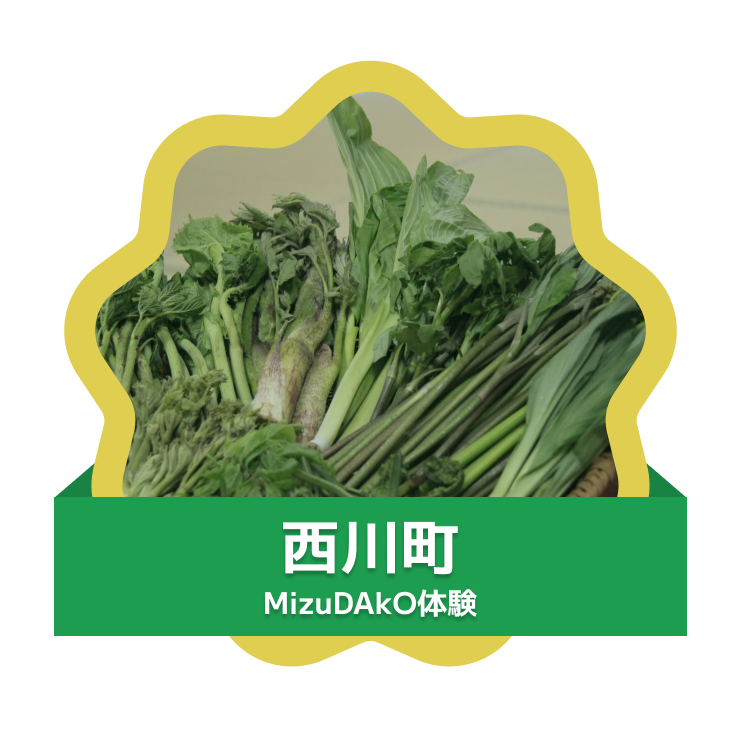 for test